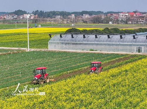 1024国产基地在线
