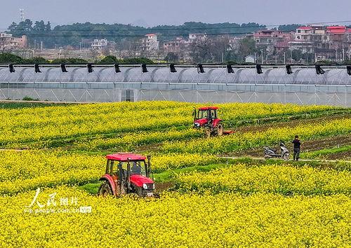 1024国产基地在线
